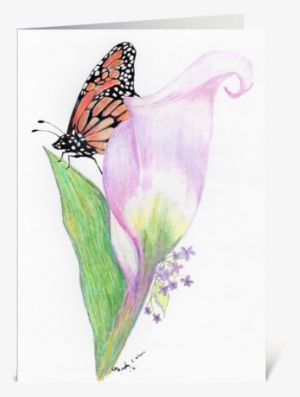 Butterfly And Lilly Greeting Card - Iris