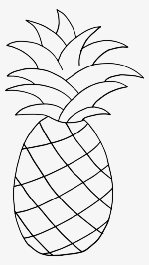 Drawing Pineapple Black And White - Una Piña Para Dibujar