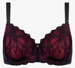 Support Radiate Black Azalea Bikini Brief Set Setd04 - Bra