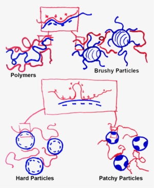 Possible New Coacervates With Solid Particles - Amherst