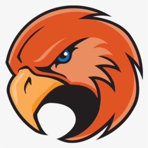 Falcon Logo Png - Falcons Logo Design