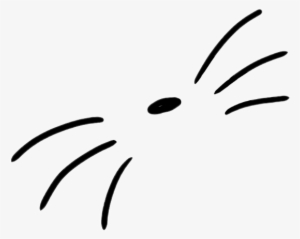 Dan And Phil Whiskers Transparent