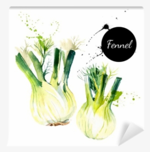 Kitchen Herbs And Spices Banner - Fenchel Gezeichnet