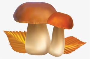 Clipart Food Mushroom - Гриб Пнг