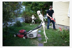 Working In The Garden Funny