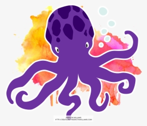 Illustrated Sea Creatures - Sea