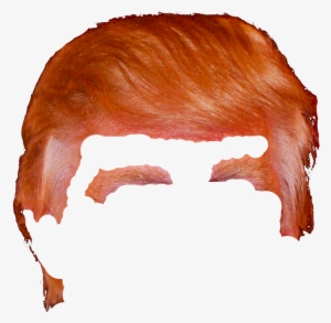 Donald Trump Hair Png - Donald Trump Hair Png Transparent