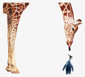 Penguin Giraffe Bird Poster Painting Giraffes And - Giraffe And Penguin Together