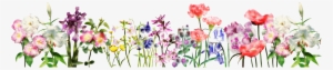 Flowers For A Banner Group Image Free Download - Guide To Mr. Shakespeare's Flowres