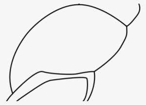 Graphic Freeuse Download Wallpaper Shells Full Wallpapers - Line Art