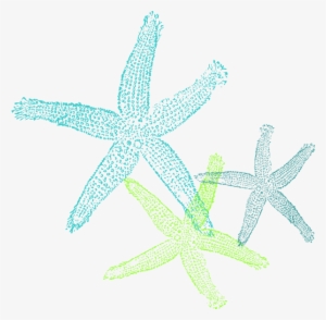 How To Set Use Turquoise Green Starfish Clipart