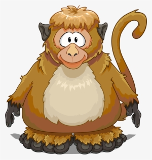 Monkey Costume On A Player Card - Club Penguin Monkey Suit