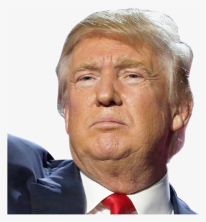 Polling Respondents Chose Character Traits Which Best - Most Asian Person Ever