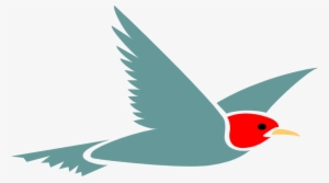 Parrot Clipart Transparent Background - Clip Art Flying Bird