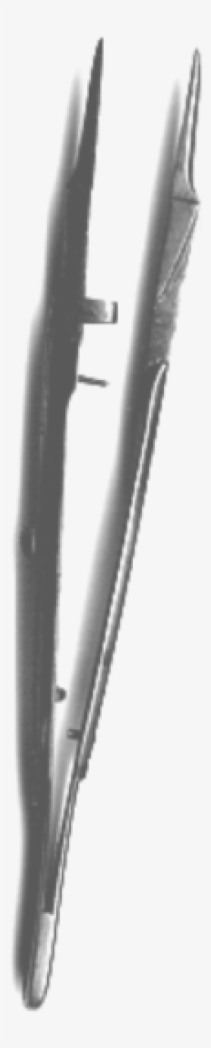 Medical Scissors Types Vector, Medical Scissors, Medical, - Makeup Brushes