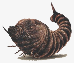 Godzilla Save The Earth Mothra Larva - Godzilla Save The Earth Mothra