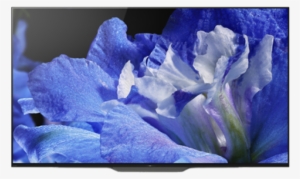 Sony Kd65af8