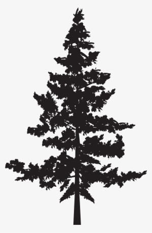 Tree Png Silhouette Clip Art Image - Pine Tree Silhouette