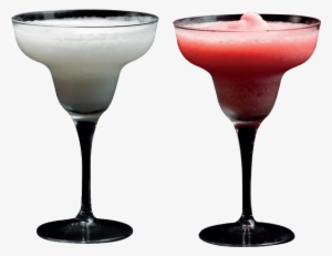 Bacardi Cocktail Margarita Cosmopolitan Daiquiri - Cocktail