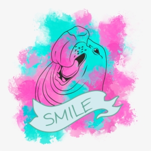 More Information - Elephant Seal