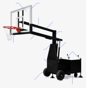 Discover More About Bear - Backboard