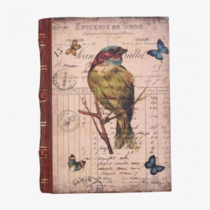 Swallowtail Butterfly