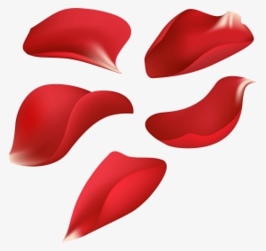Rose Petals Png