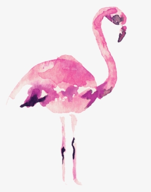 Video Courtesy Of Audrey Alba Films - Flamingo Watercolor Transparent Background