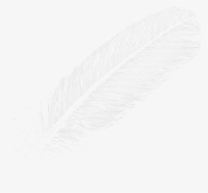 Flying Feathers Png - Logo Feather Png White