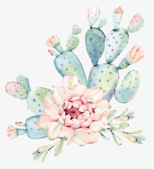 Cactaceae Watercolor Painting Succulent Plant Euclidean