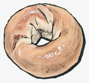 All Breads - Drawing Of Bagel