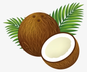 Coconut Clipart Png