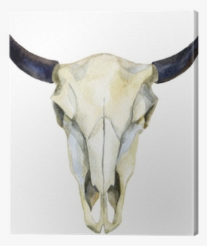 Woman Holding A Buffalo Skull