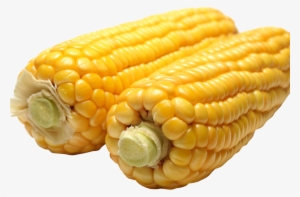 Corn Png Image1 - Background Transparent Corn On The Cob Png