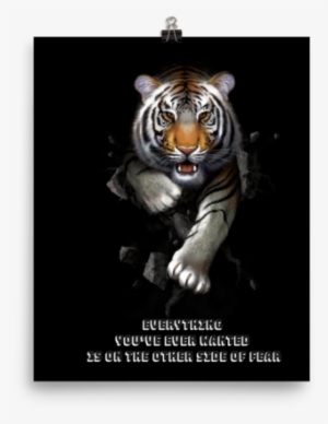 The Mountain Tiger Stalk Wall Art Illustration - Illustration