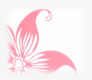 Caribbean Island Adventure, Annual Gala Fundraiser/exhibit