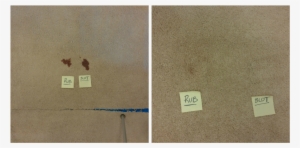 Should You Blot Or Rub Carpet Stains - Carpet