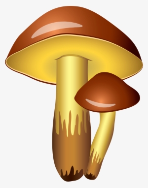 0, - Mushroom Clipart Transparent Background
