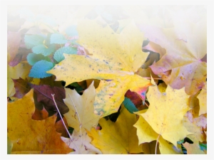 October - Autumn