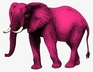 This Free Icons Png Design Of Pink Elephant