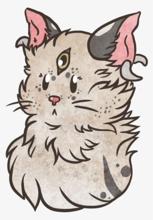 Fseezkh - Domestic Short-haired Cat