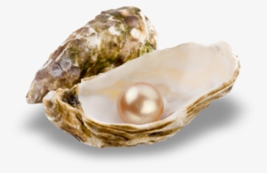 Pearl-stringing - Oyster With Pearl Png