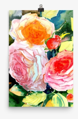 Bright And Floral Rose Watercolour Print Matte Poster - Watercolor Painting