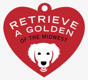Auction Preview - Retrieve A Golden Of The Midwest (ragom)