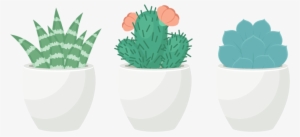 How To Create A Trio Of Succulents In Adobe Illustrator - Transparent Background Succulent Clip Art