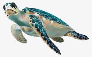 Swimming Turtle Gif Transparent Background