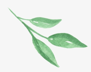 Three Pieces Of Bright Green Leaves Transparent Png - Leaf