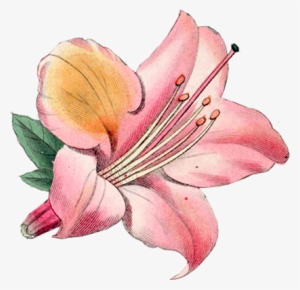 Chapter Vi - “ - Par S