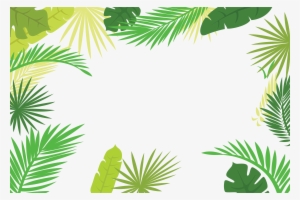 Arecaceae Text Branch Leaf - Palm Leaf Border Png