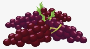 Bunch Of Grapes Clipart